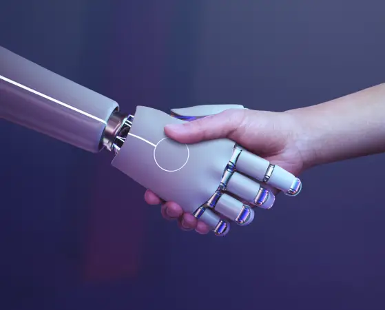 Flexible creative workflow management